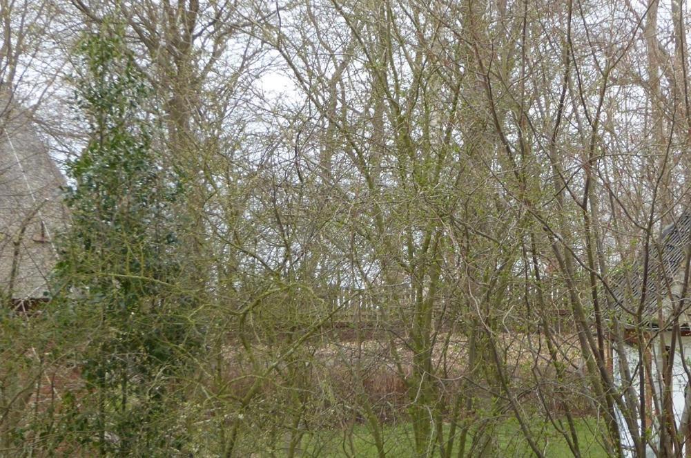 Freesteil Hohwacht Exterior photo